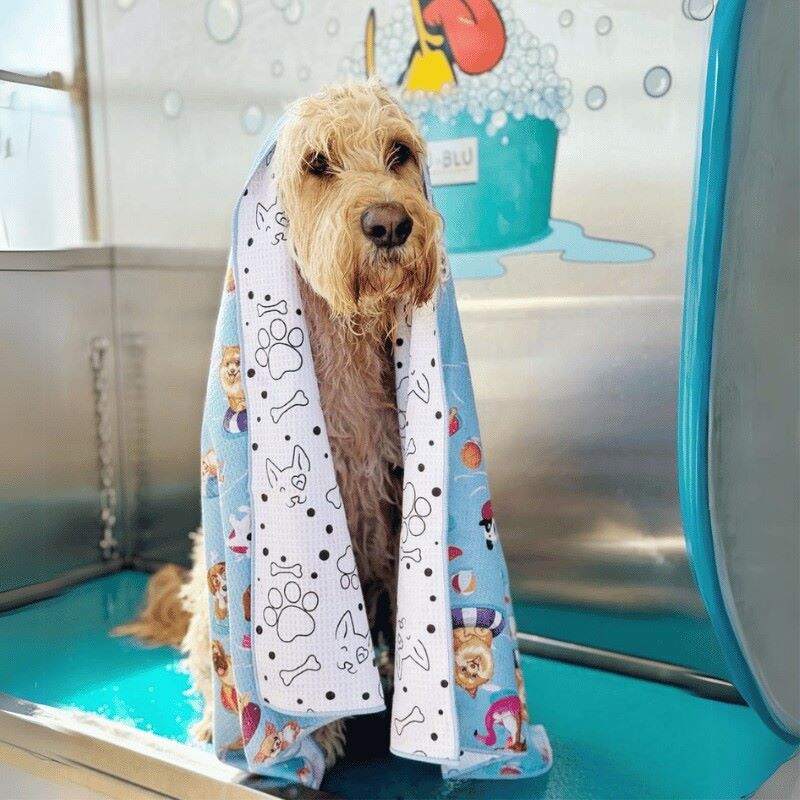 Towel Dry