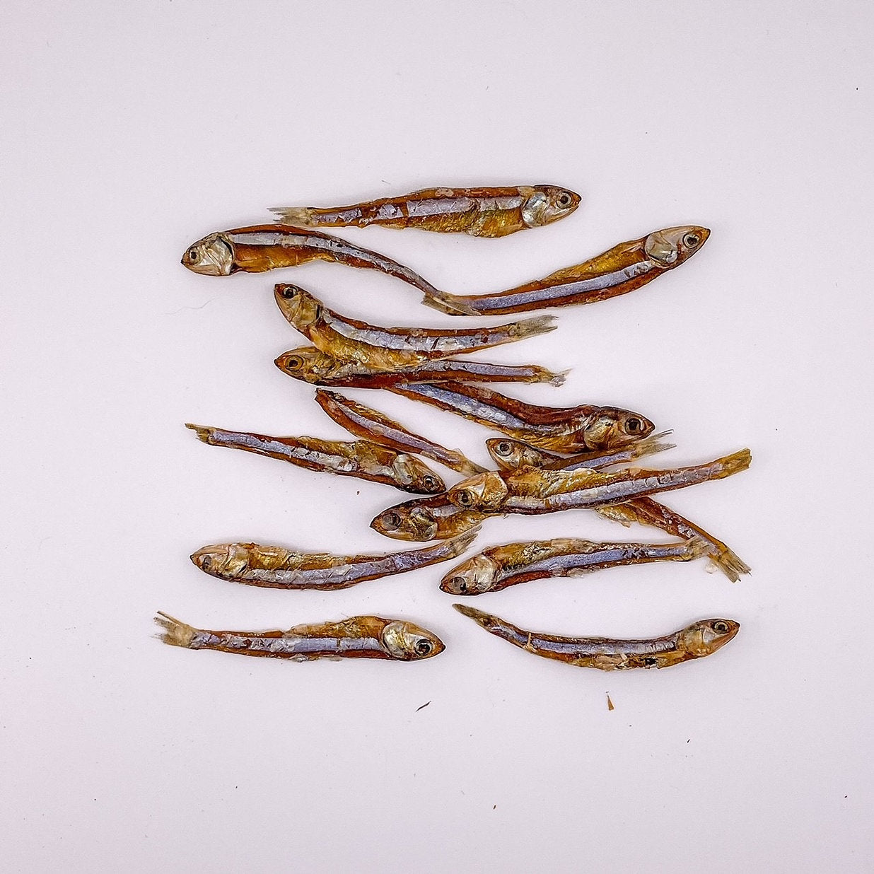 Australian Anchovies 100g