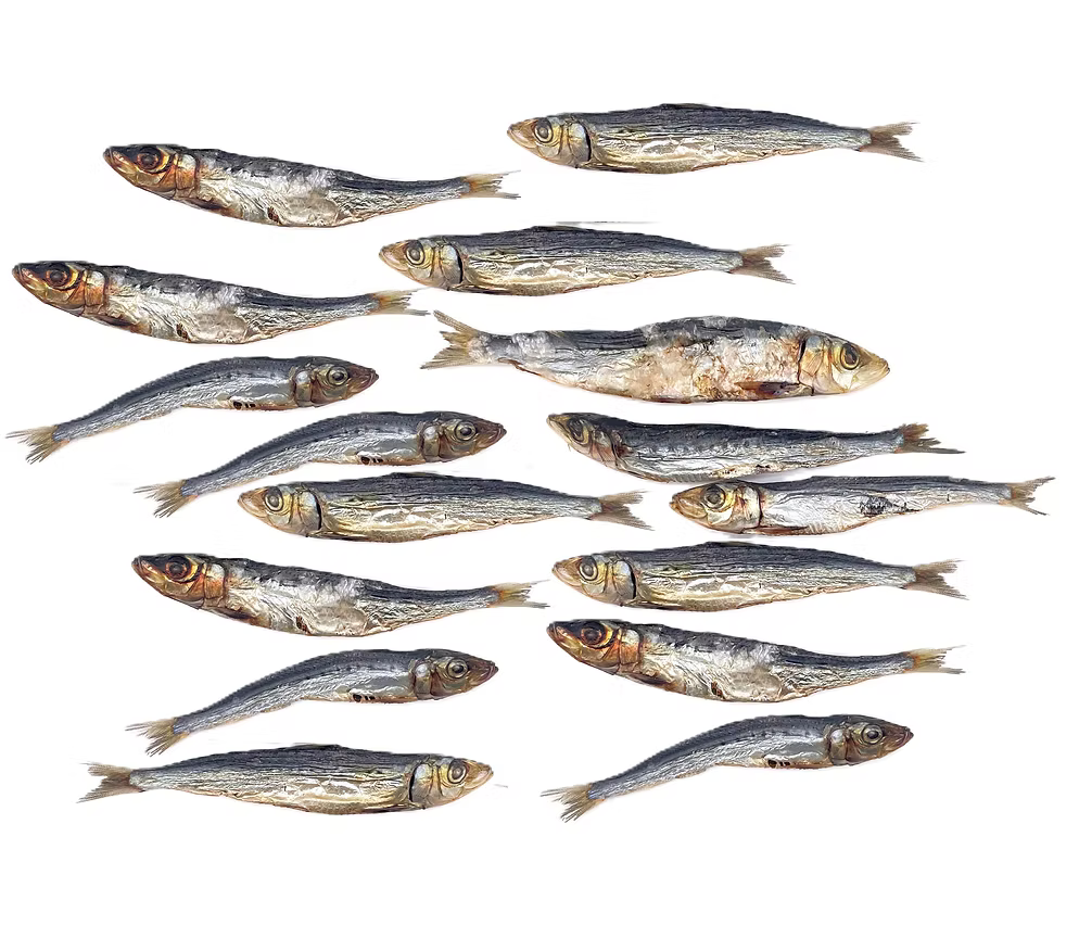 Australian Whole Sardines 100g