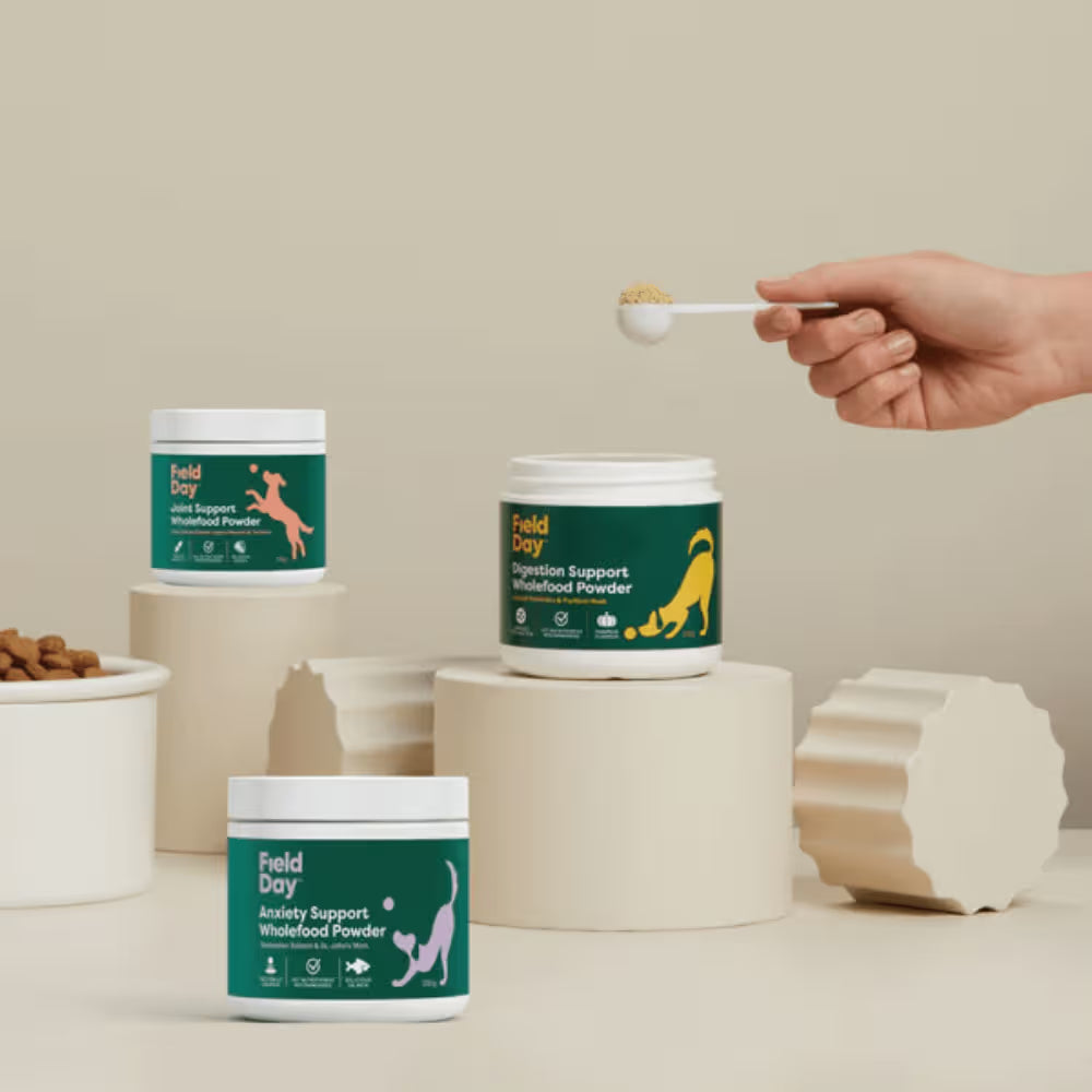 Field Day Digestion Support Powder For Dogs