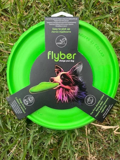 Flyber Dog Disk Toy