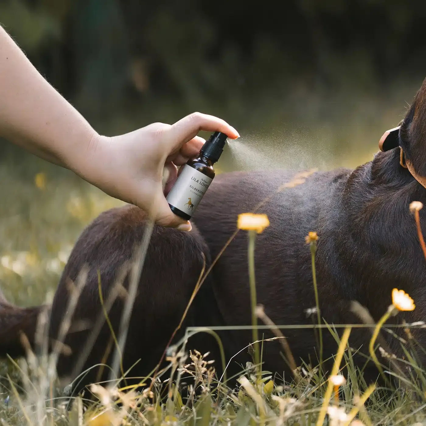 Lila Loves It - Silver Spray 50ml