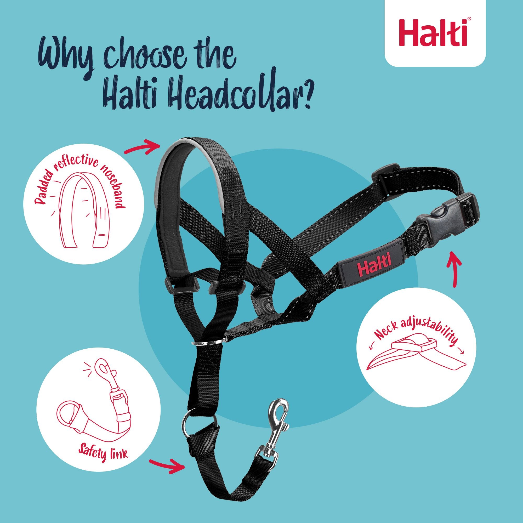 Halti Headcollar