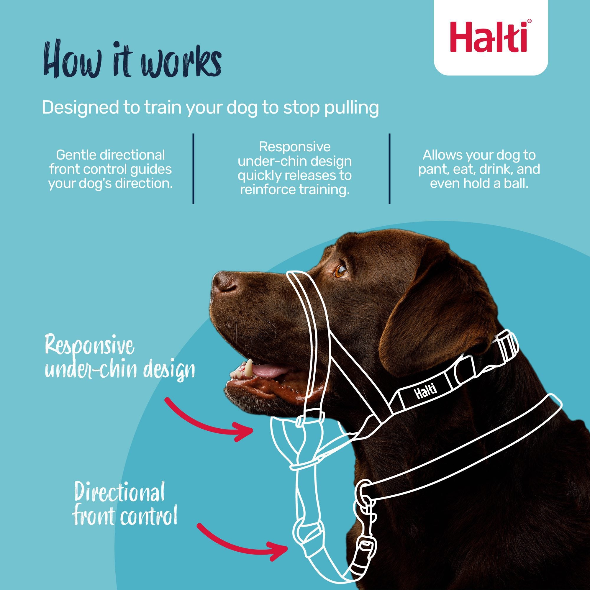 Halti Headcollar