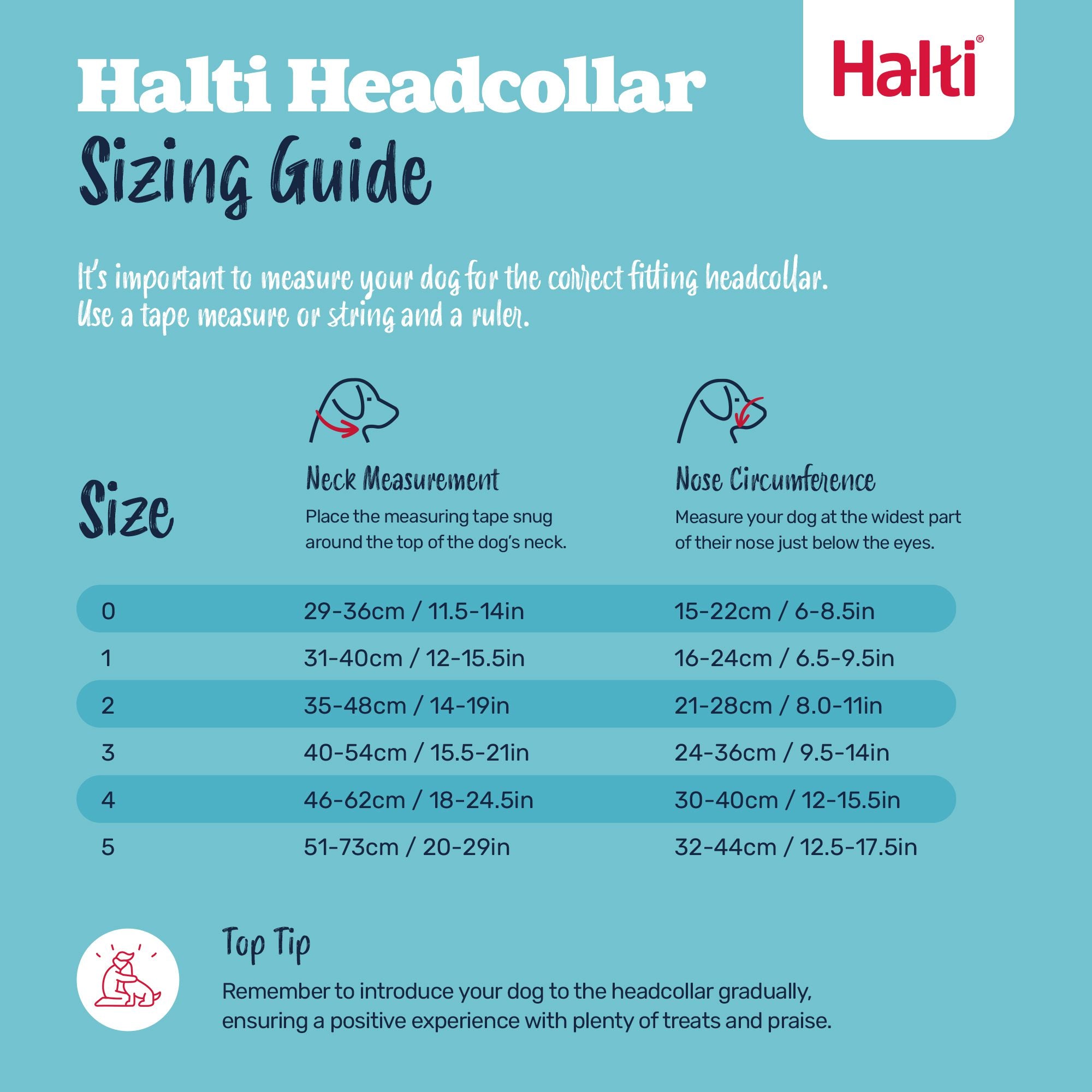 Halti Headcollar