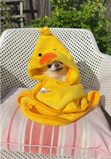 Towel Dry