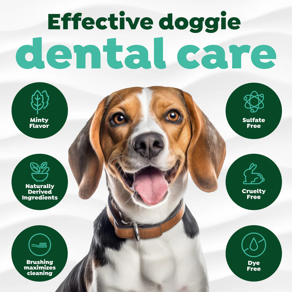 TropiClean Fresh Breath Plaque & Tartar Control Kit for Small & Medium Dogs