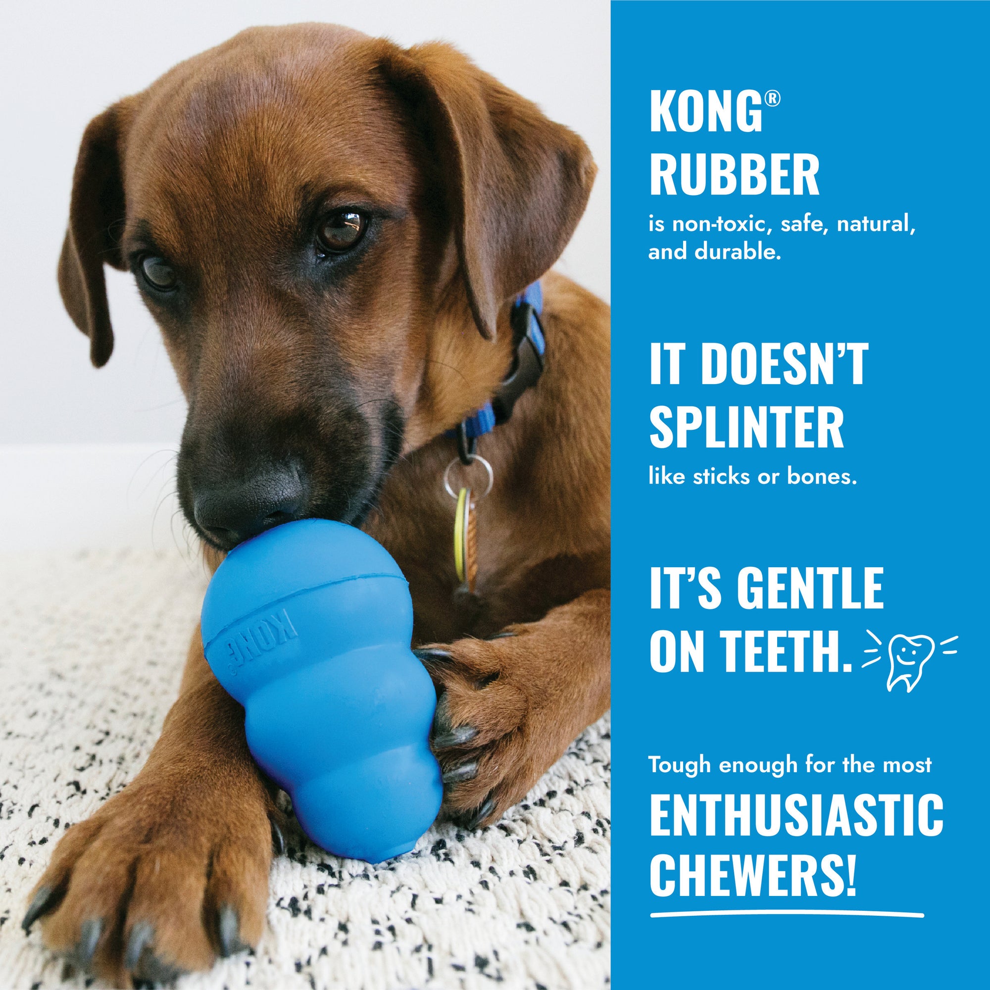 Kong Puppy Tires