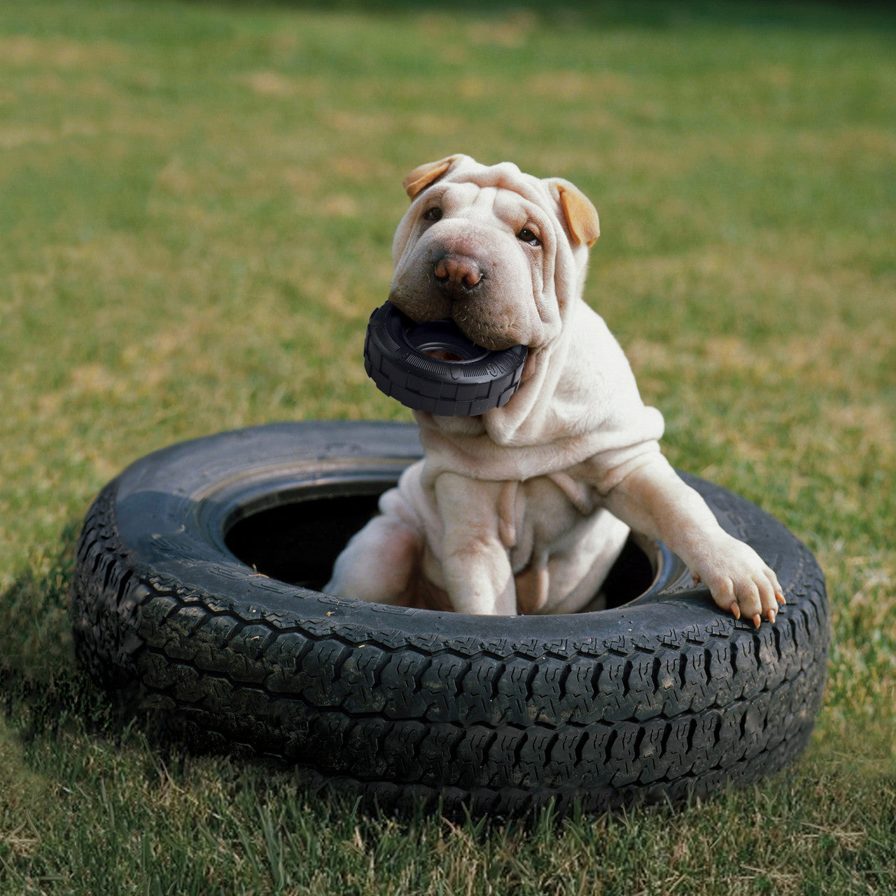 Kong Puppy Tires