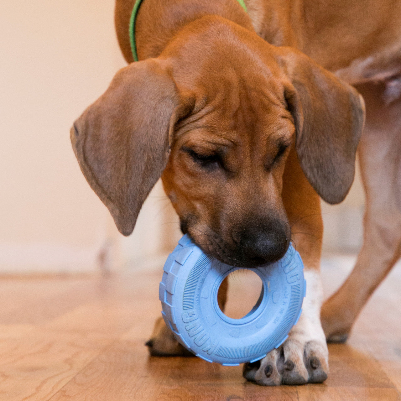 Kong Puppy Tires