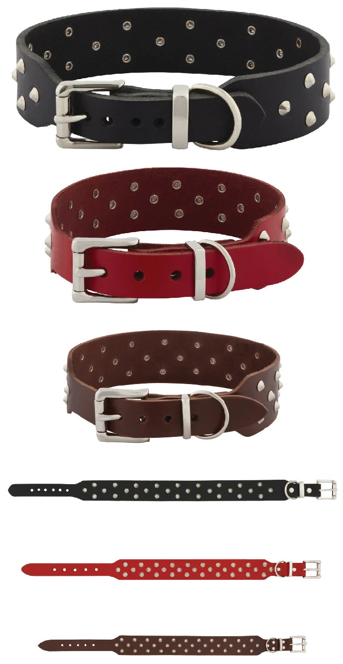 Leather Studded Dog Collar