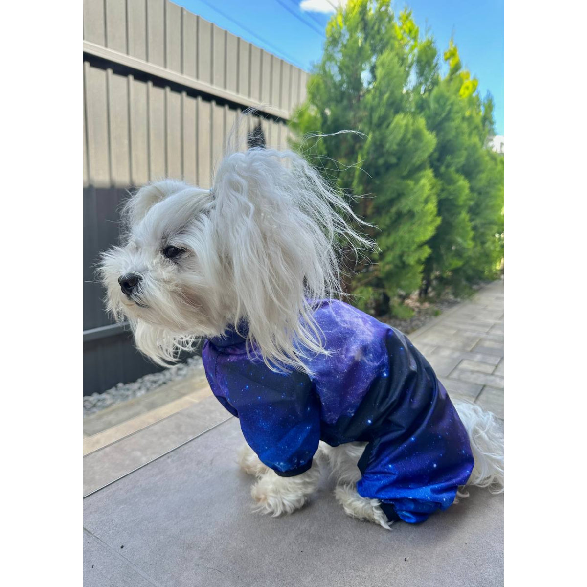 Wau Dog NASA Dog Raincoat