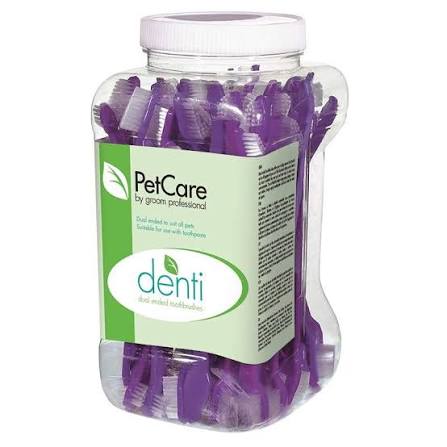 Denti Dual Ended Toothbrush