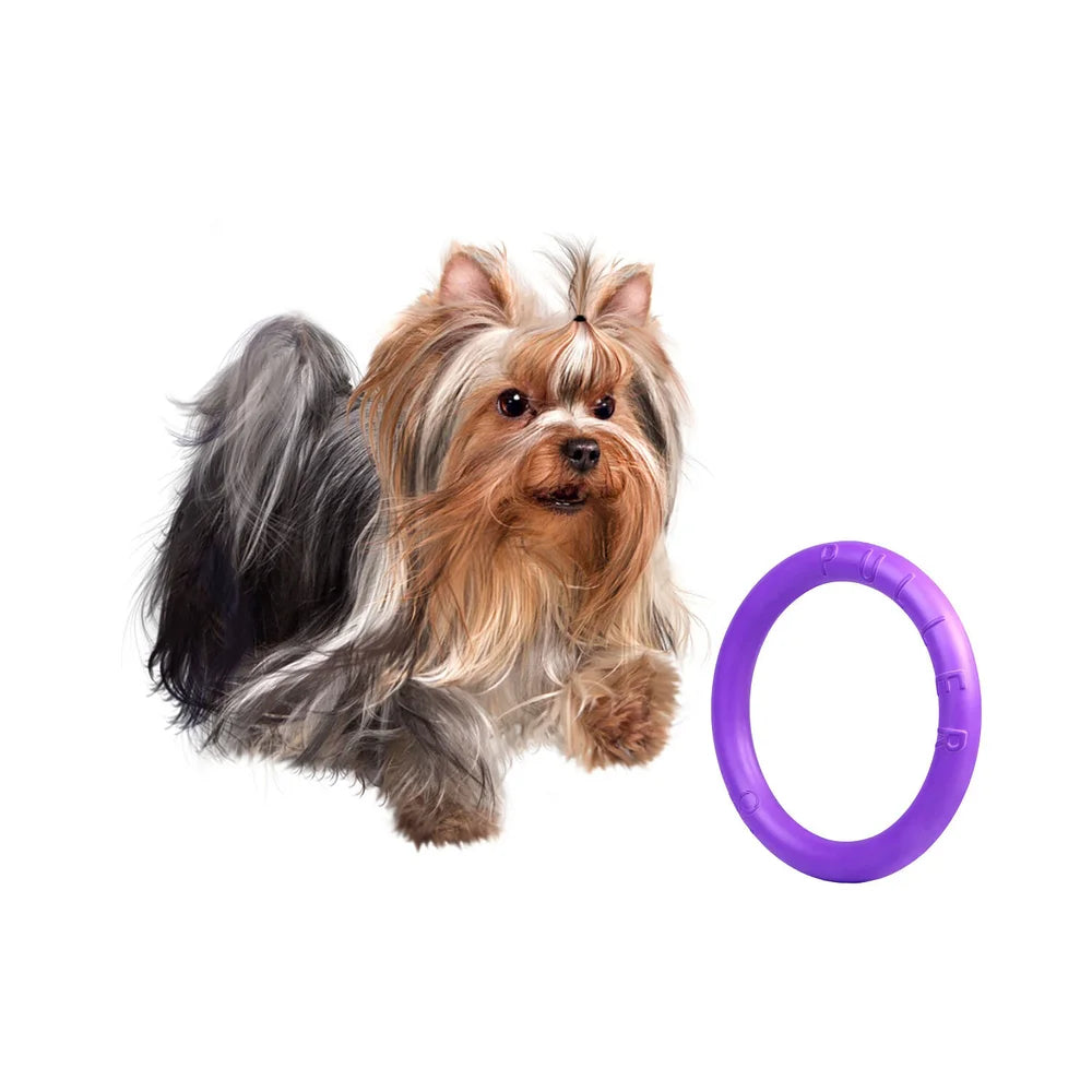 Puller Dog Fitness Tool Rings Assorted Sizes