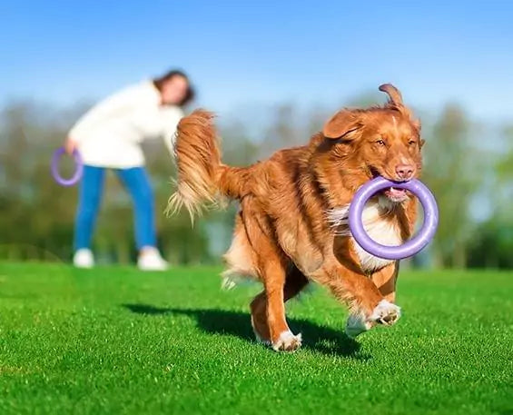 Puller Dog Fitness Tool Rings Assorted Sizes