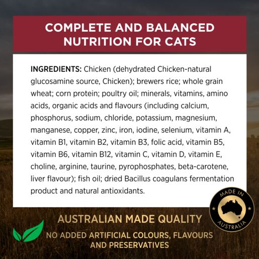 PRO PLAN Adult Chicken Formula Dry Cat Food 400g