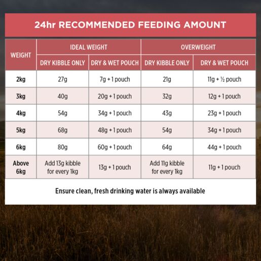 PRO PLAN Fussy & Beauty Salmon Formula Dry Cat Food 1.5kg