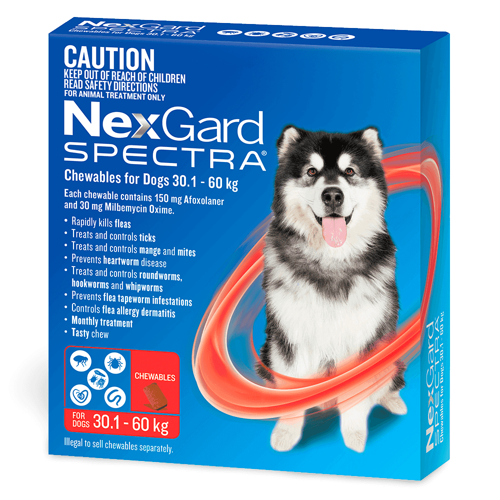 Nexgard Spectra 30.1-60kg Dog 6 Pack