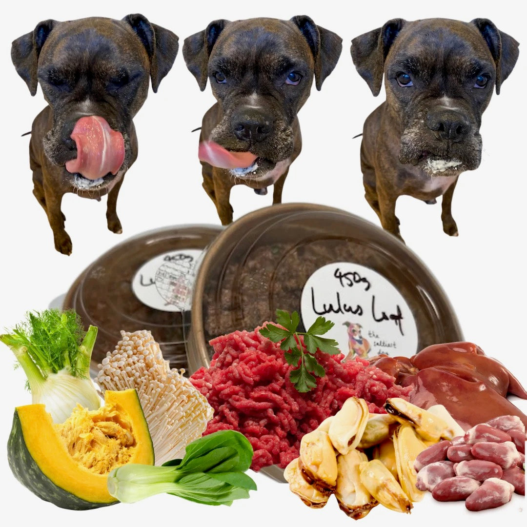 The Saltiest Dog Lulu's Loaf Slow Cooked Dog Meal 1kg