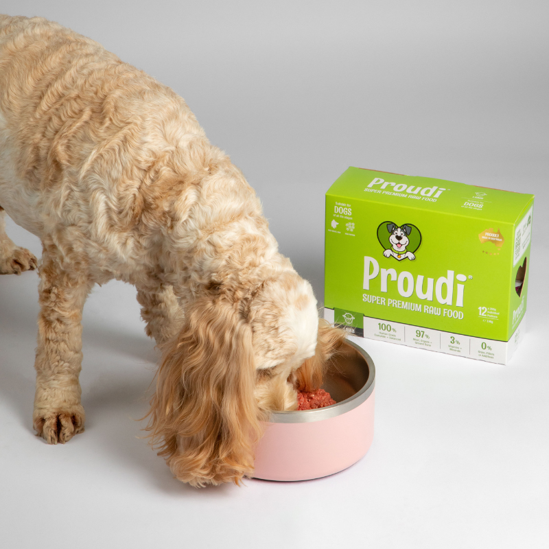 Proudi Single Protein Lamb Raw patties for dogs 2.4kg