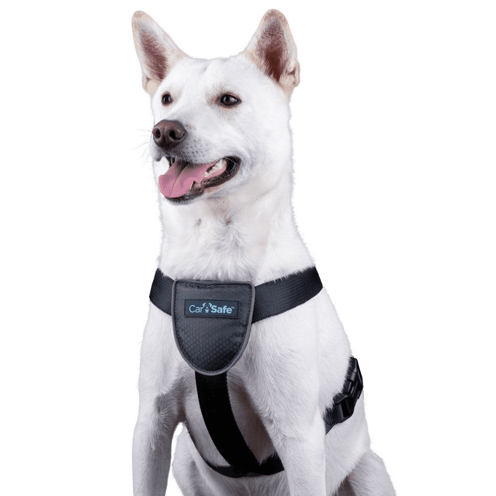Car Safe Essentials Car Harness Large
