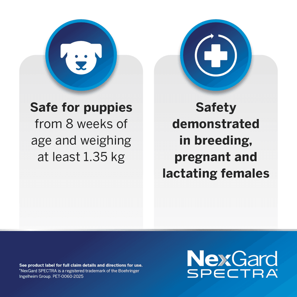 Nexgard Spectra 30.1-60kg Dog 6 Pack