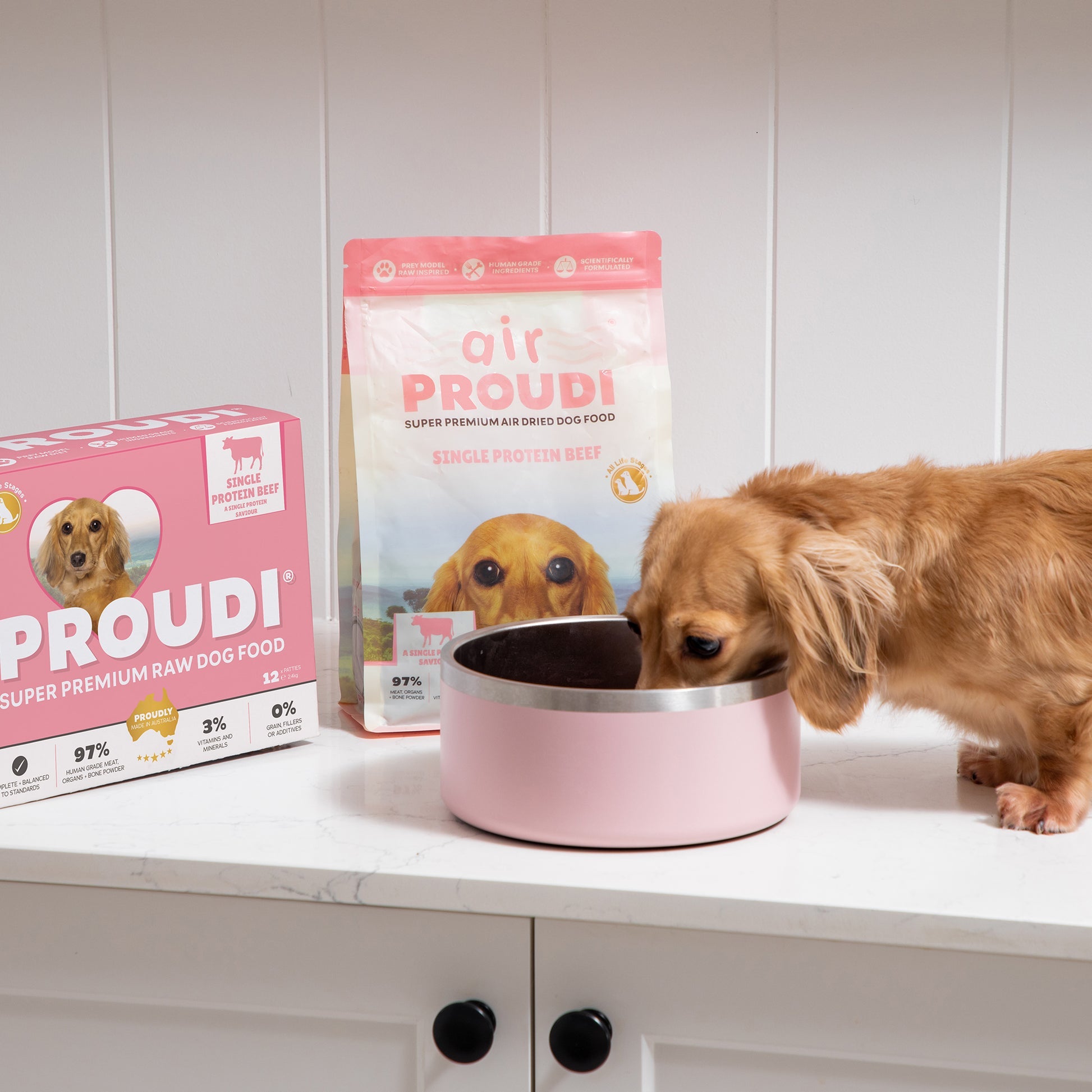Proudi Single Protein Beef Raw patties for dogs 2.4kg
