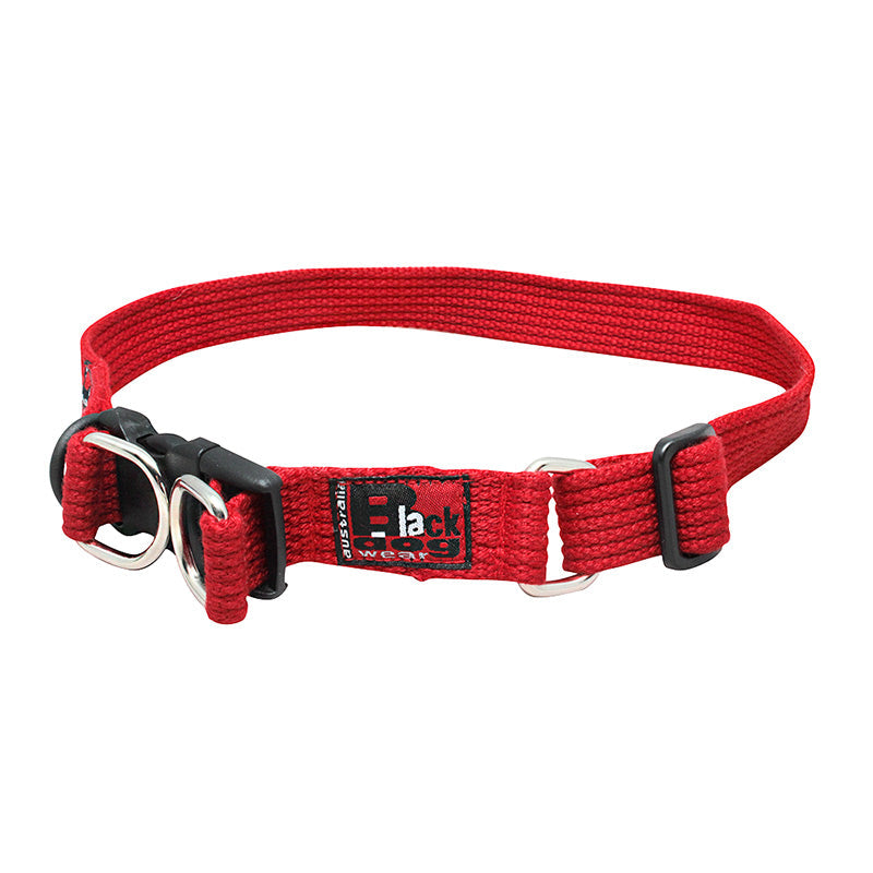 Blackdog Wear Standard Collar XL Stainless Steel