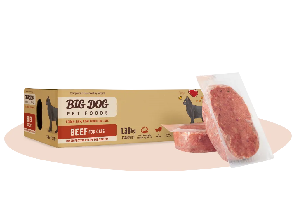 Big Dog Beef Raw patties for Cats 1.5kg