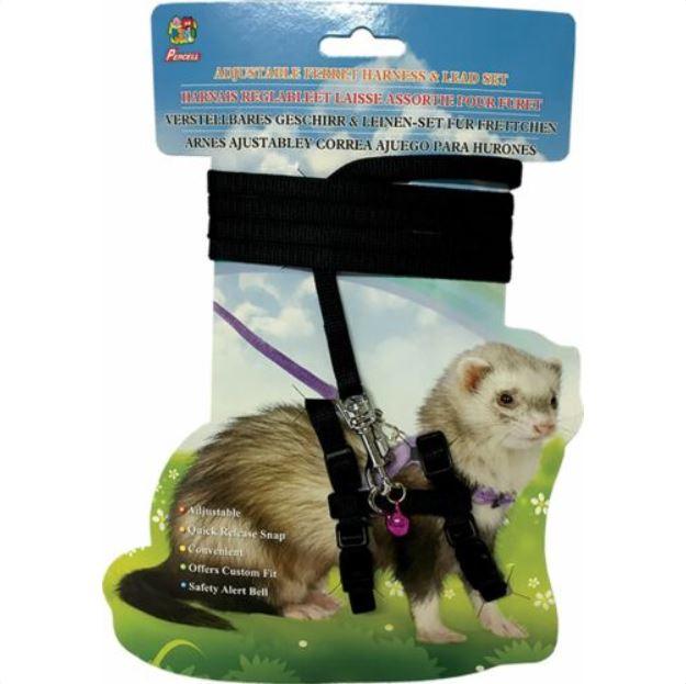 Percell Ferret Harness and Lead