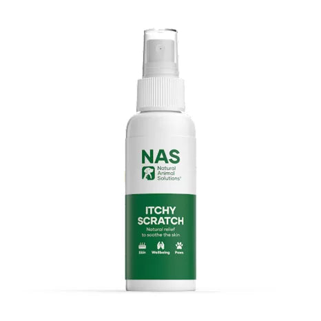NAS Essentials Kit