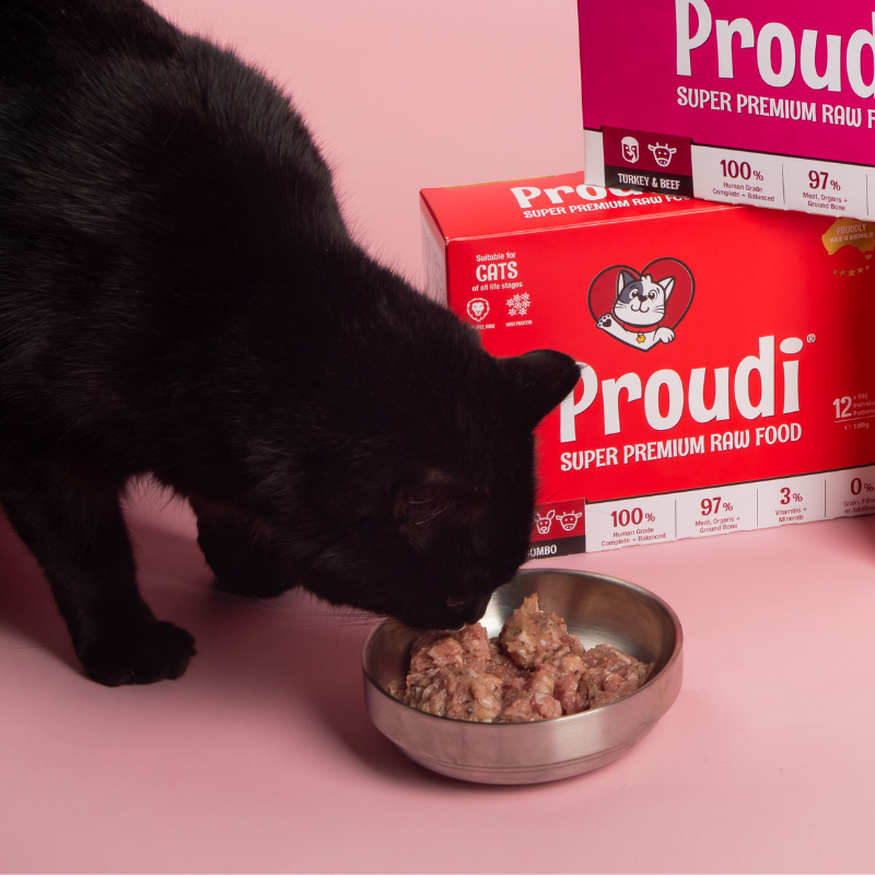 Proudi Red Combo Raw Patties for cats 1.08kg