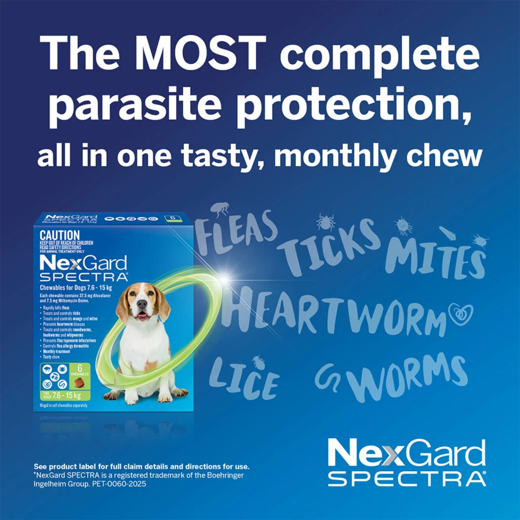 NexGard Spectra 15.1-30kg Dog 6 Pack