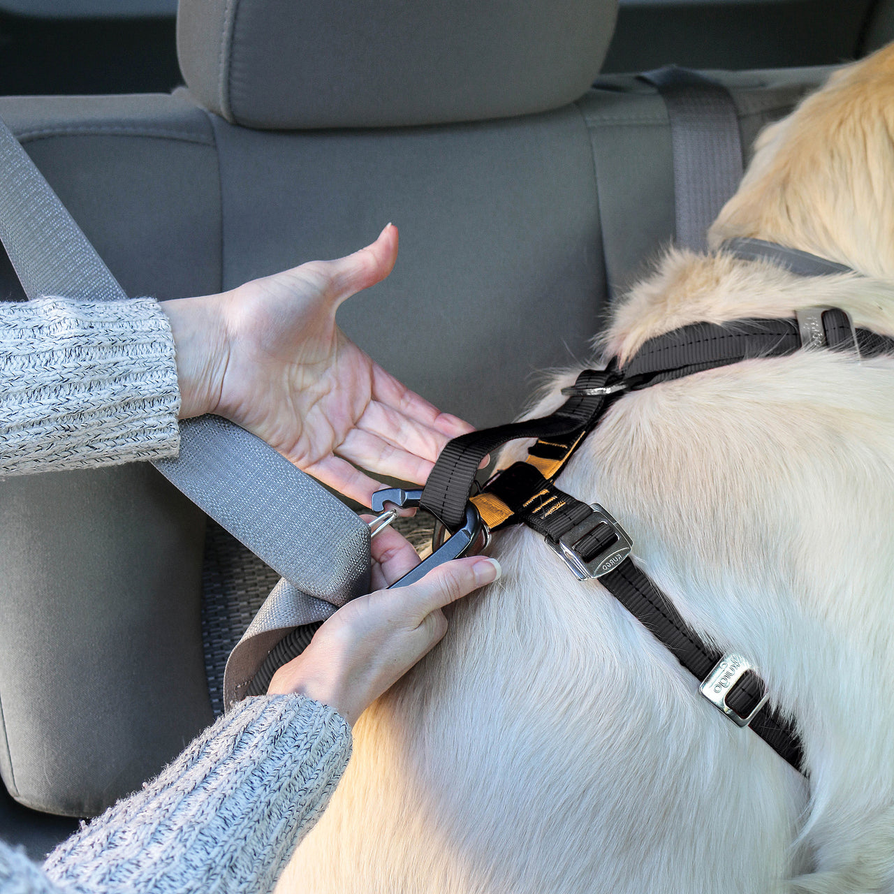 Kurgo Car Harness Crash Tested