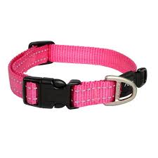 Rogz Classic Utility Collar