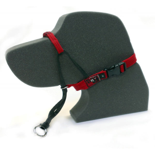 Blackdog Wear Training Halter