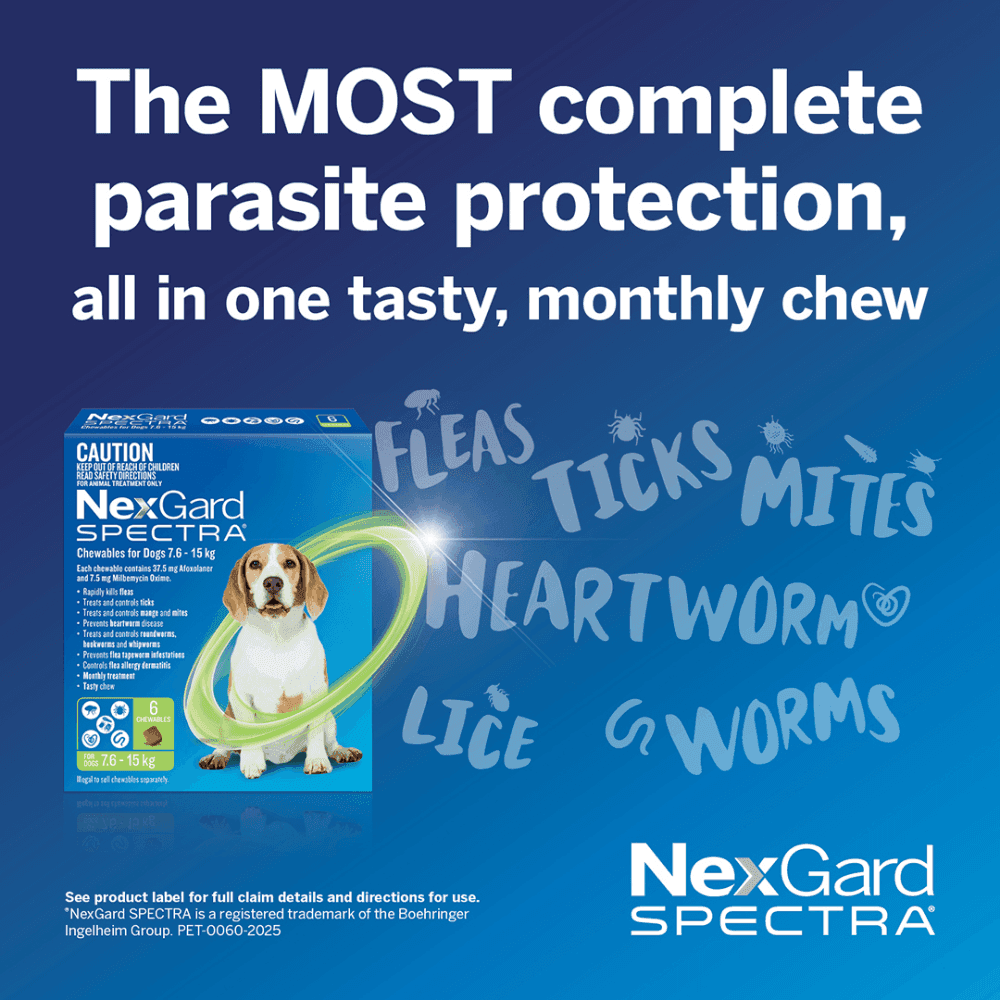 Nexgard Spectra 30.1-60kg Dog 6 Pack