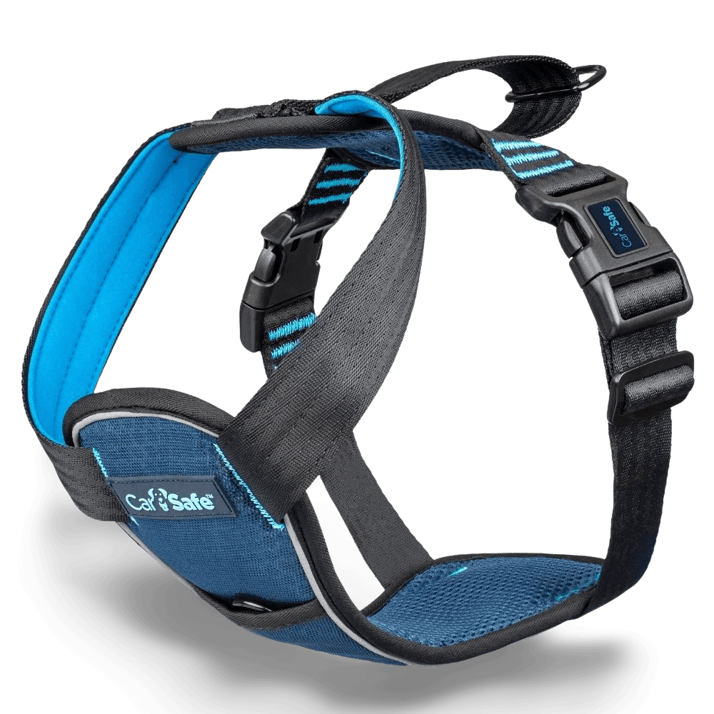 Car Safe Crash Tested Harness