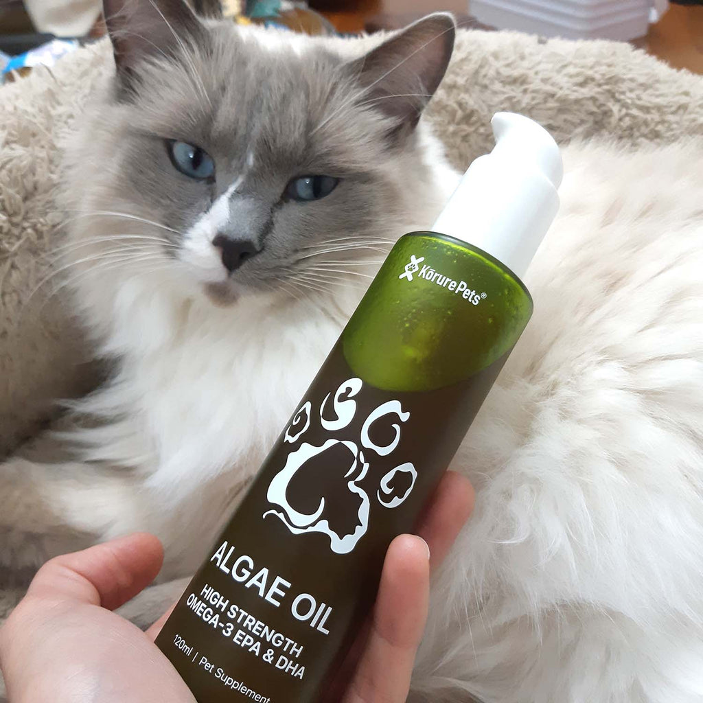 Korure Pets Algae Oil Dog and cat 120ml