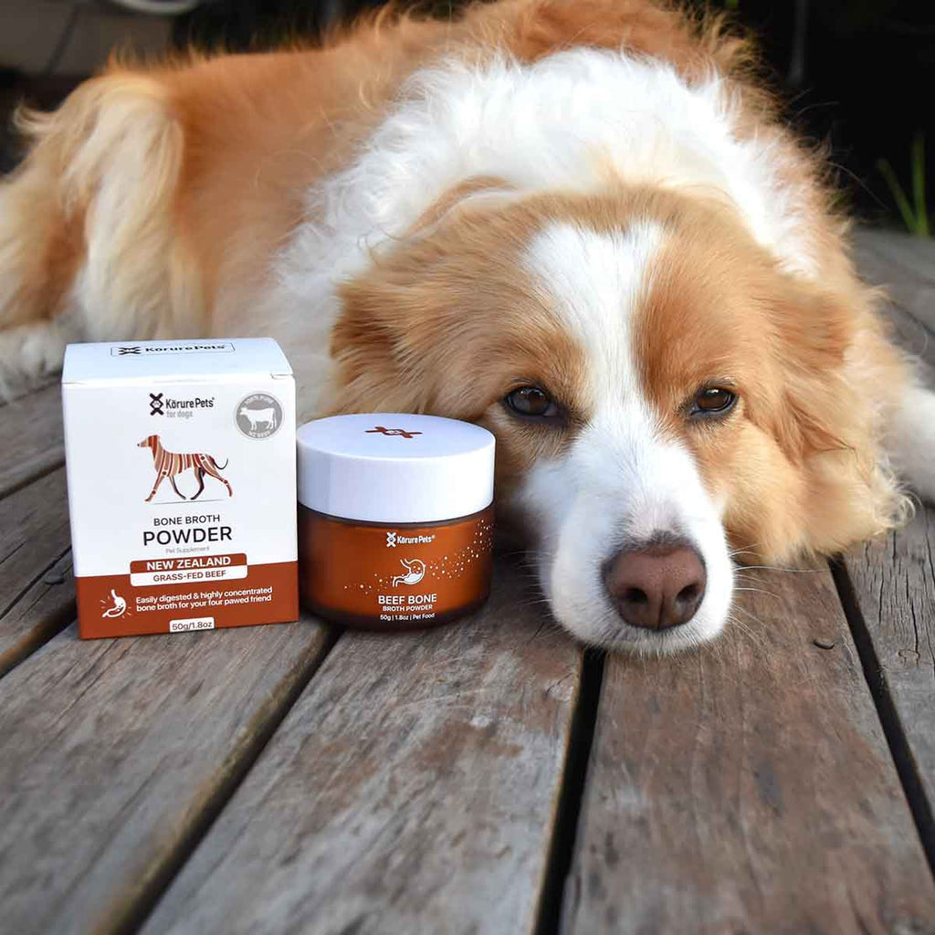 Korure Pets Bone Broth Powder 50gr