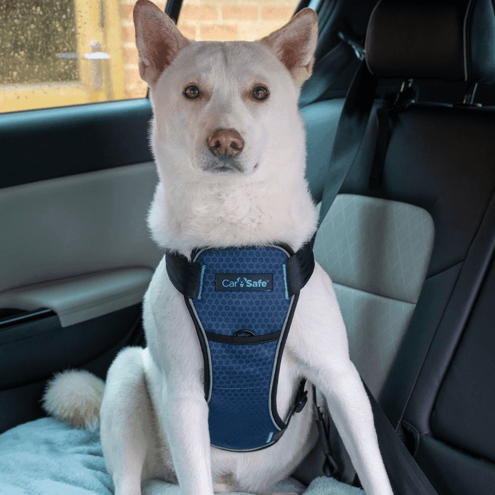 Car Safe Crash Tested Harness