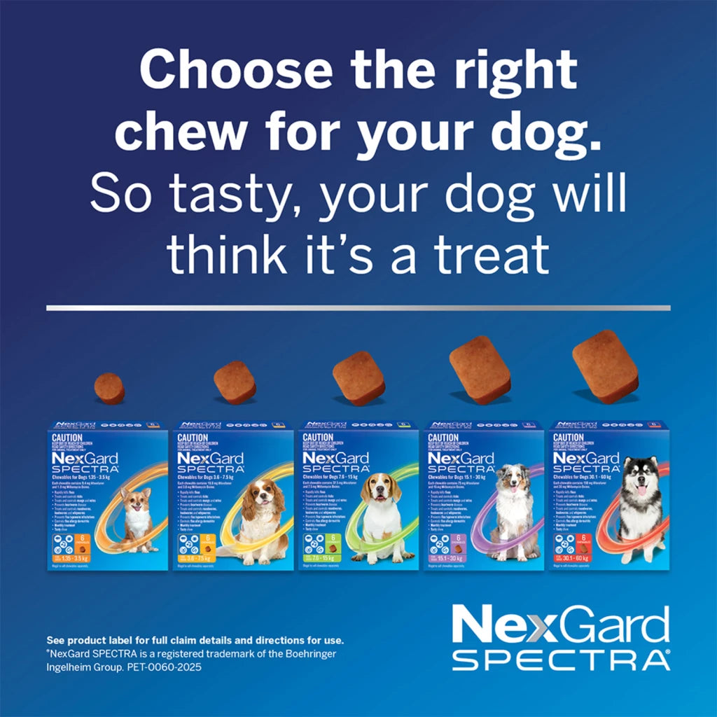 NexGard Spectra 15.1-30kg Dog 6 Pack