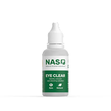 NAS Essentials Kit