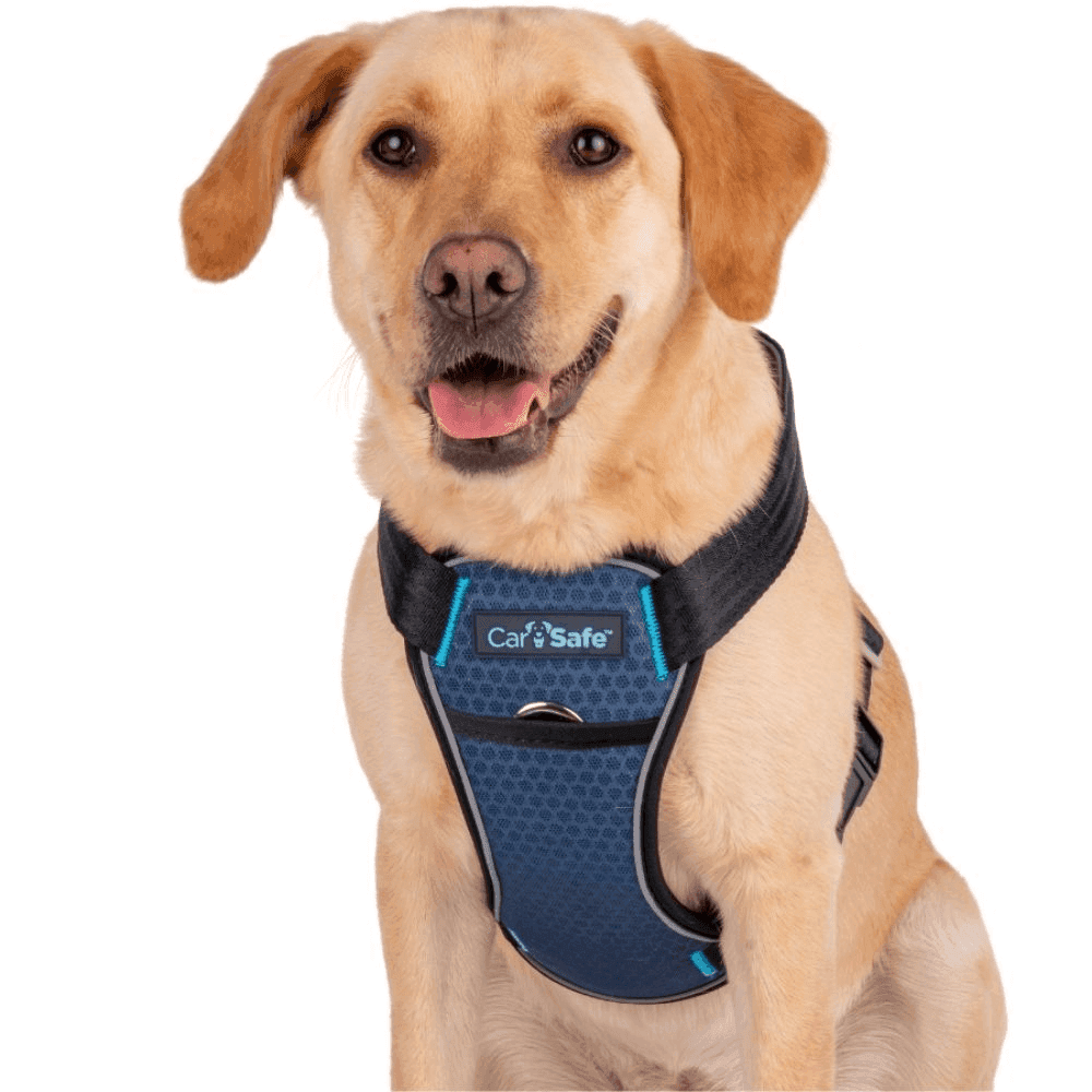 Car Safe Crash Tested Harness
