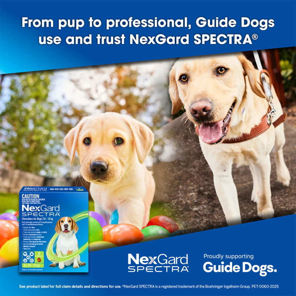 NexGard Spectra 15.1-30kg Dog 6 Pack