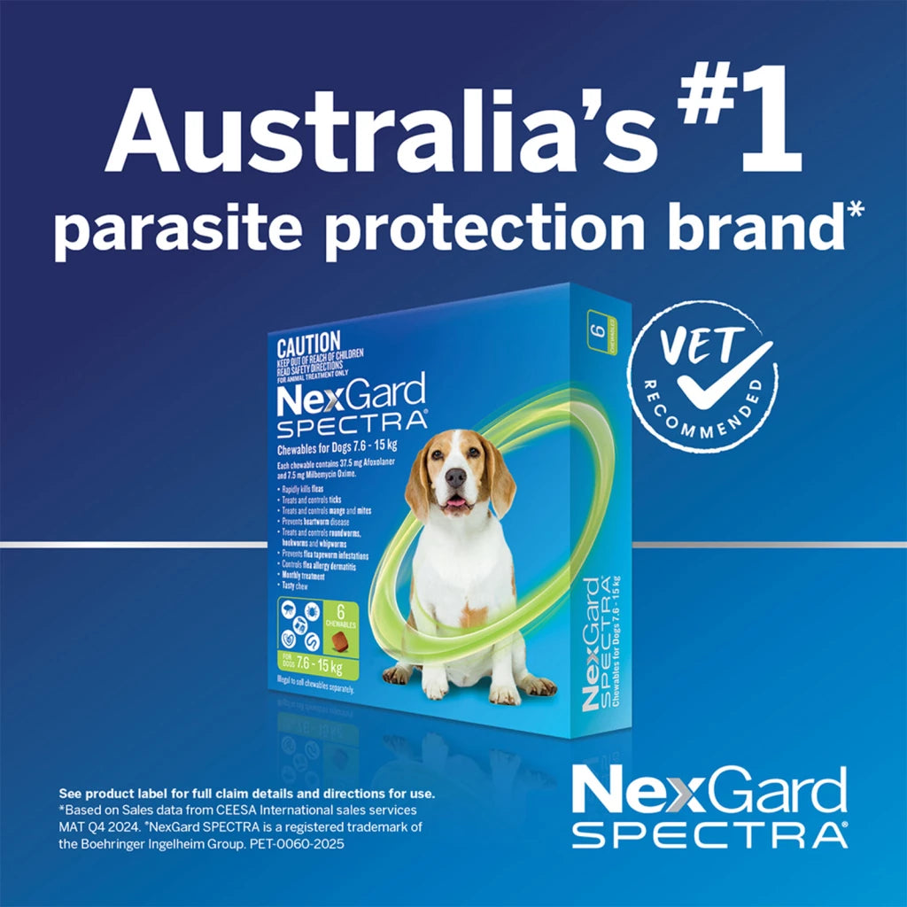 NexGard Spectra 15.1-30kg Dog 6 Pack