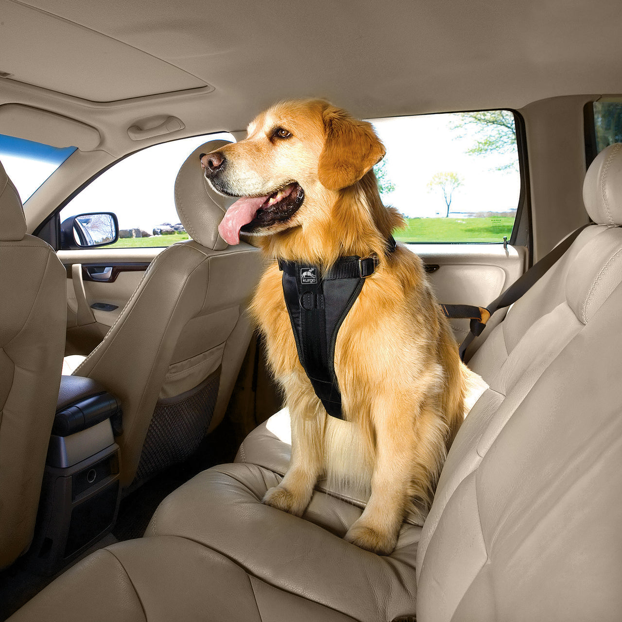 Kurgo Car Harness Crash Tested