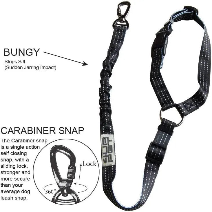 K9 Homes Dog Seat Belt
