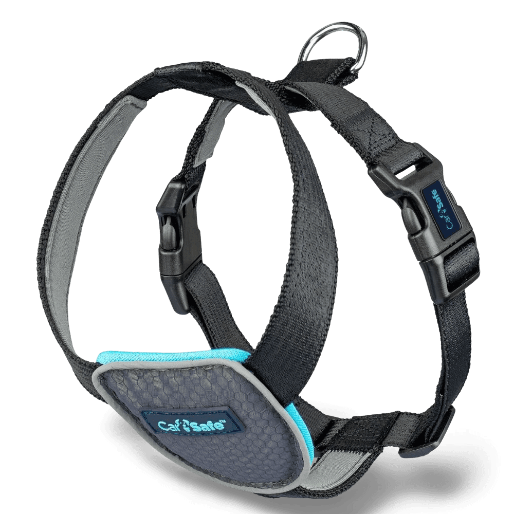 Car Safe Essentials Car Harness Large