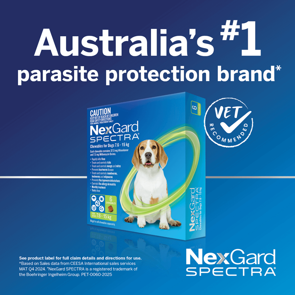 Nexgard Spectra 30.1-60kg Dog 6 Pack